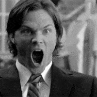 UltimateSlushyAiredale-max-1mb